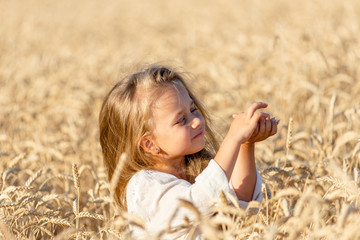 little blonde girl stands in a wheat field in summer and smiles