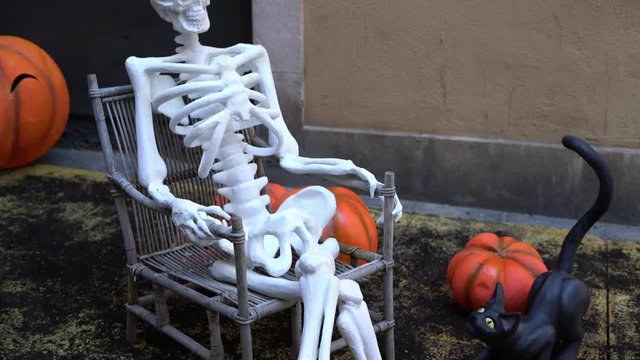 Skeleton in chair next to pumpkin and black cat during halloween celebration