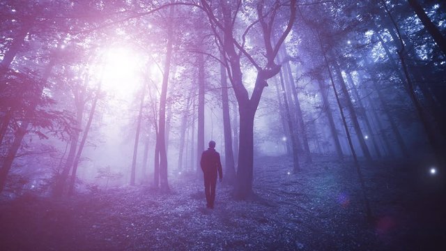 Man walks in dreamy purple colored foggy fairy tale forest with firefly.