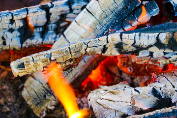 Image of burning wood,fire in the woods, hiking.