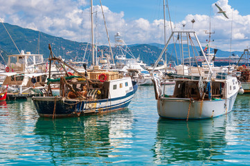 Obraz premium Fishing boats moored at the port of Santa Margherita Ligure on a sunny day, Italy
