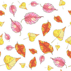 Seamless pattern with hand drawn autumn leaves on white background