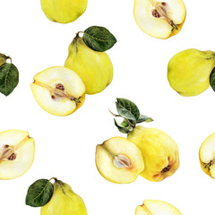 Watercolor hand drawn quince isolated seamless pattern.