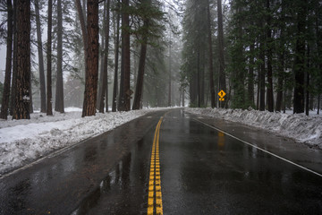 Wet Road in Snowy Forest