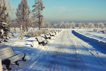 line of benches in winter park in Russia