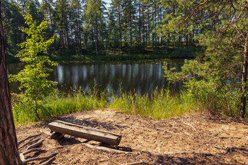 old wood bench on the shore of the forest lake