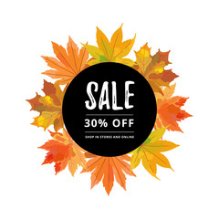 Autumn sale banner template with colorful fall leaves