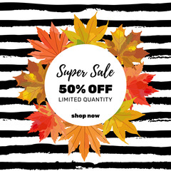 Autumn sale banner template. Colorful fall leaves