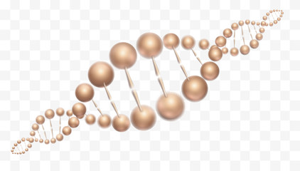 Science abstract vector design of DNA molecular structure. Golden 3d molecule luxury isolated illustration, scientific banner for medicine, biology, cosmetics template