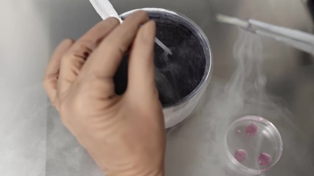 Process of in vitro fertilization in laboratory