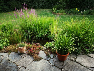 Gartenteich mit grünen Gräsern und Topfpflanzen auf einer Terrasse aus grauem Naturstein im...