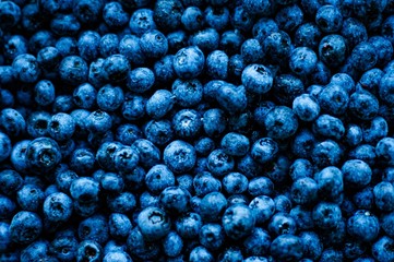 Blueberry background texture