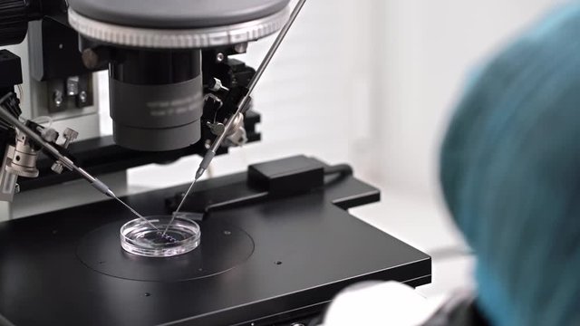 Process of in vitro fertilization in laboratory