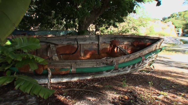 Key West-Cuban Refugee Boats Escape Communism For Freedom in United States