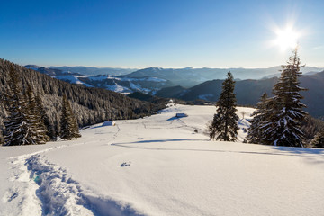Fototapeta premium Winter Christmas landscape of mountain valley on frosty sunny day. Old wooden forsaken shepherd hut in white deep clean snow, woody dark mountain ridge, bright sun on blue sky copy space background.