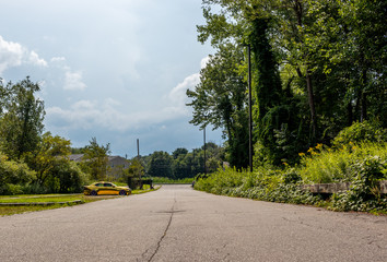 road in the forest with a golden beatiful car