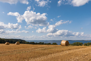 Flensburger Förde