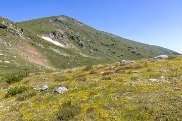 Naklejka premium Landscape near Belmeken Peak, Rila mountain, Bulgaria