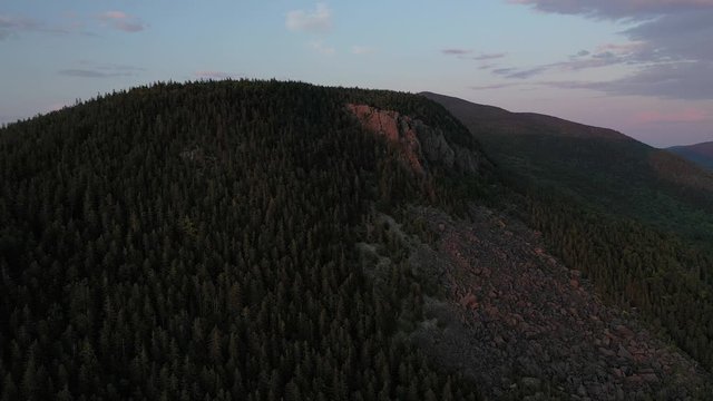Pine forest ridge top lit by golden hour sun aerial