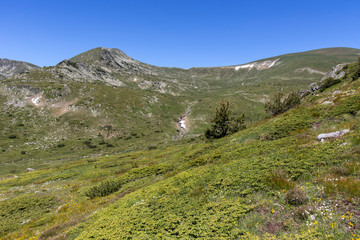 Landscape near Belmeken Peak, Rila mountain, Bulgaria