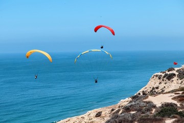 Paragliders at the Torrey Pines Gliderport San Diego