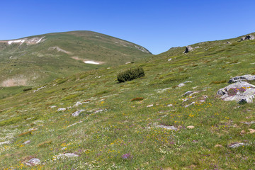 Fototapeta premium Landscape near Belmeken Peak, Rila mountain, Bulgaria