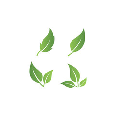 green leaf icons set