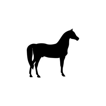 Horse silhouette icon logo