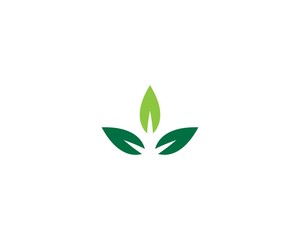 Logos of green leaf ecology nature element vector icon