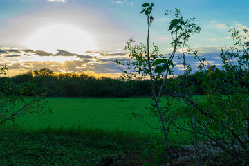 Atardecer en una Laguna de Campo