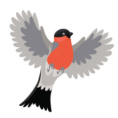Bullfinch bird Isolated on a white background. Vector graphics