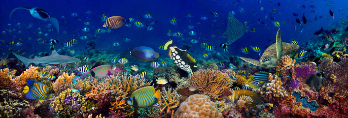 Unterwasser-Korallenrifflandschaft breiter 3to1-Panoramahintergrund im tiefblauen Ozean mit farbenfrohen Meeresschildkröten-Meerestieren