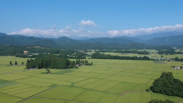 日本の田園風景　空撮　8月