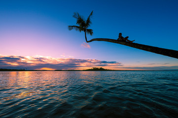 Scenic island sunset view with an unrecognizable silhouette lying on a long palm tree curving out...