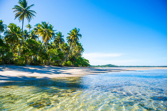 Bright scenic view of an empty, palm-fringed tropical beach in northeast Bahia, Brazil