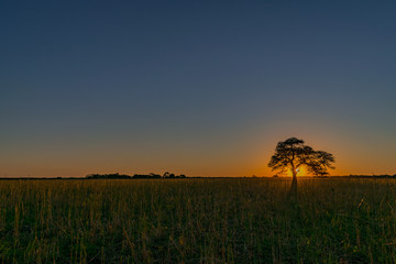 Fototapeta premium Atardecer de Campo - Chaco Argentina