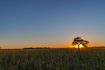 Atardecer de Campo - Chaco Argentina