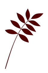 Plant Branch with Brown Leaves