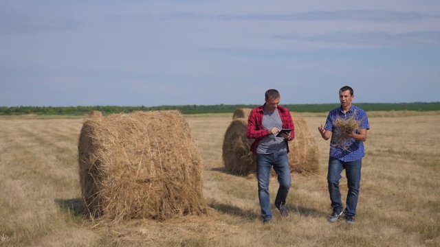 teamwork agriculture smart farming concept. two men farmers workers studying a haystack in field on digital tablet. teamwork slow motion video. people agronomist botanist farmers lifestyle working in