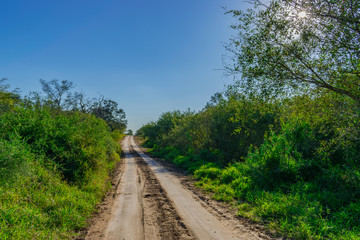 Obraz premium Caminos Rurales - Chaco Argentina