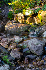 The slow flowing creek as it rolls over the rocks and down the forest. 