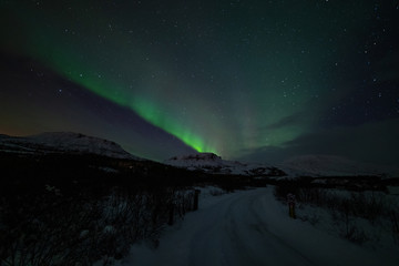 Fototapeta na wymiar Northern lights along a deserted road