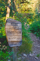 A wooden sign to the mount olympus wilderness area in utah. 
