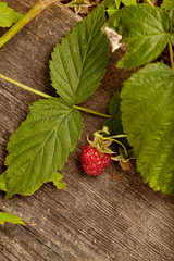 Close-up view of raspberries on wooden background. Copy space Home garden. Healthy eating concept.