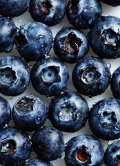 Many blueberry berries
