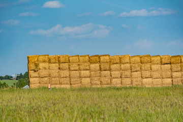 Stacked square bales of hay in a farm field
