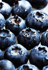 Many blueberry berries