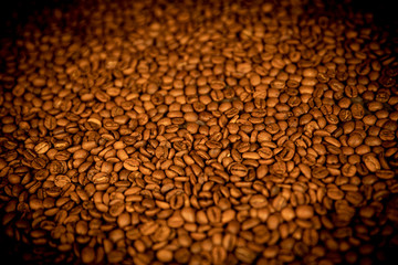 coffee grains
