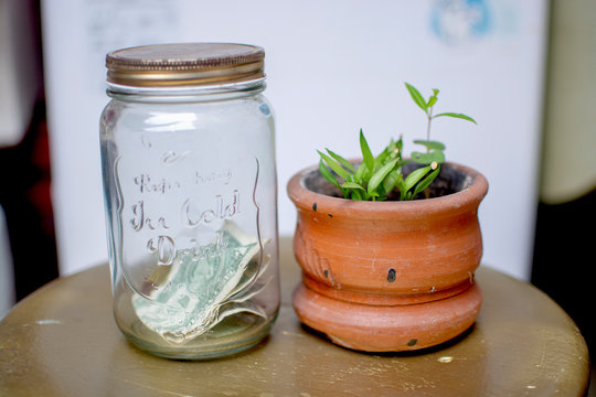 planta botella dinero maceta