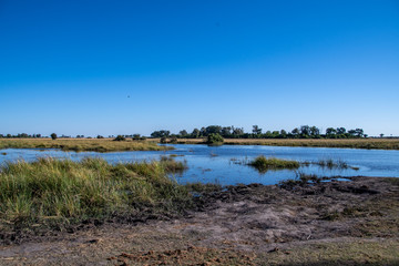 Okavango views